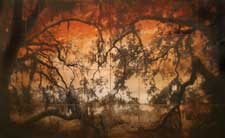 John Folsom